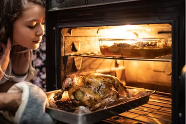 Electric oven repair